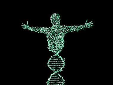 The Chemical Structure of DNA